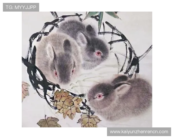 关于kaiyun体育注册流程详解帮助用户顺利完成账号注册的完整指南